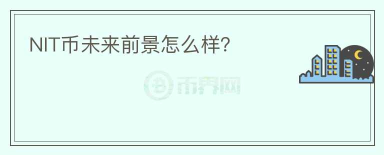 NIT幣未來前景怎么樣？
