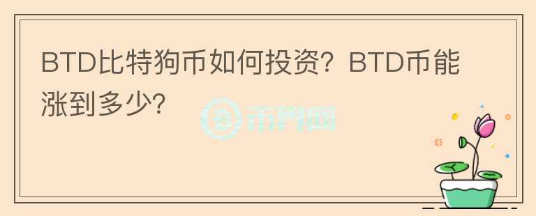BTD比特狗幣如何投資？BTD幣能漲到多少？