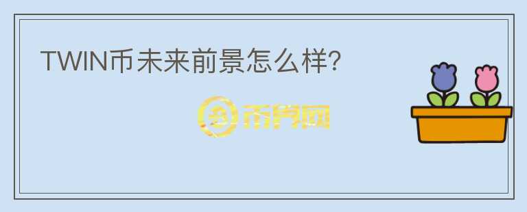 TWIN幣未來前景怎么樣？