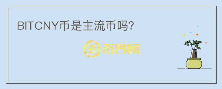 BITCNY幣是主流幣嗎？