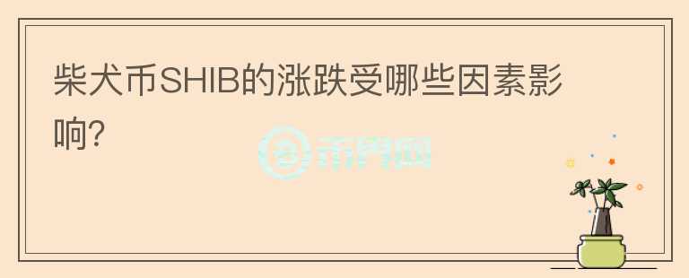 柴犬幣SHIB的漲跌受哪些因素影響？