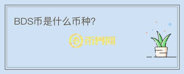 BDS幣是什么幣種？