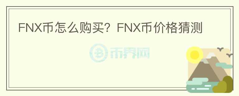 FNX幣怎么購(gòu)買(mǎi)？FNX幣價(jià)格猜測(cè)