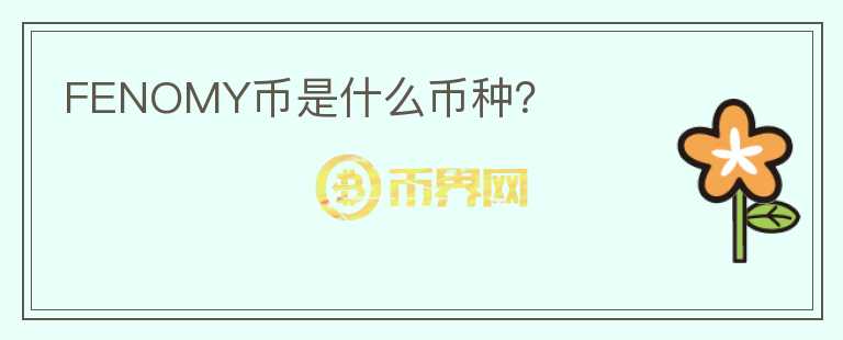 FENOMY幣是什么幣種？