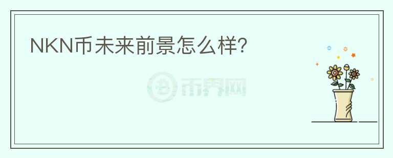 NKN幣未來前景怎么樣？