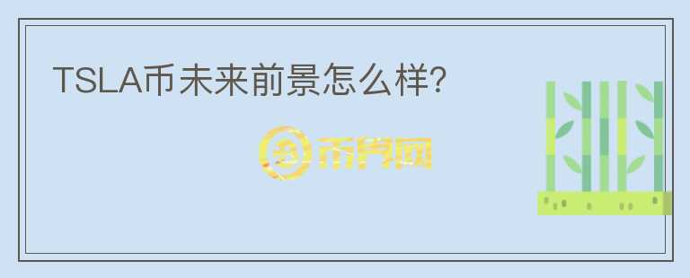 TSLA幣未來(lái)前景怎么樣？
