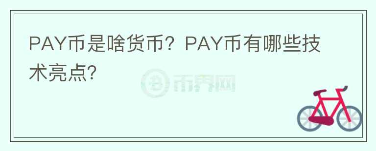 PAY幣是啥貨幣？PAY幣有哪些技術(shù)亮點？