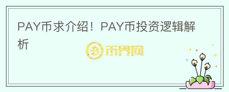 PAY幣求介紹！PAY幣投資邏輯解析