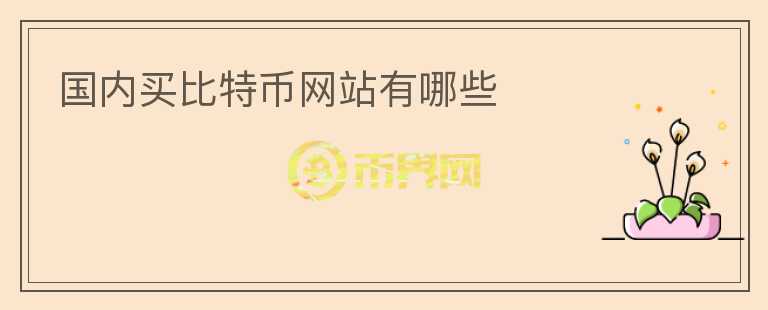 國內(nèi)買比特幣網(wǎng)站有哪些