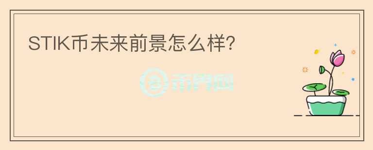 STIK幣未來前景怎么樣？