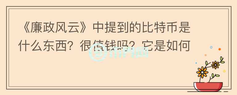 《廉政風(fēng)云》中提到的比特幣是什么東西？很值錢嗎？它是如何變現(xiàn)的？