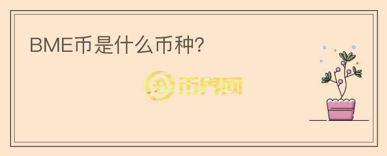 BME幣是什么幣種？