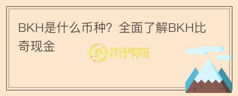 BKH是什么幣種？全面了解BKH比奇現(xiàn)金