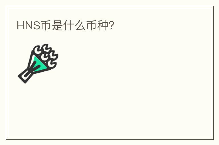 HNS幣是什么幣種？