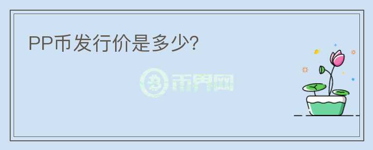 PP幣發(fā)行價是多少？