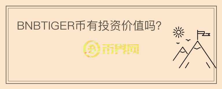 BNBTIGER幣有投資價值嗎？