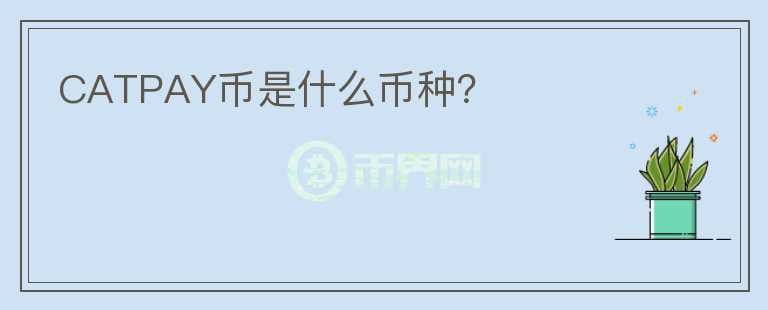 CATPAY幣是什么幣種？