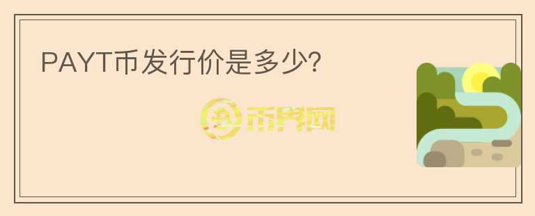 PAYT幣發(fā)行價(jià)是多少？