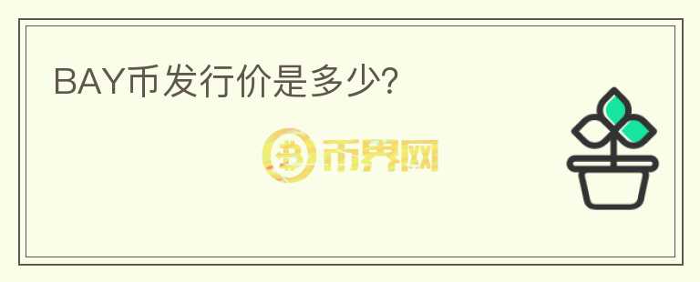 BAY幣發(fā)行價是多少？