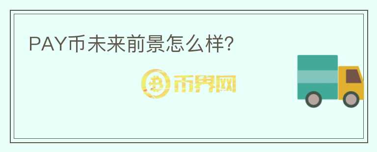 PAY幣未來前景怎么樣？