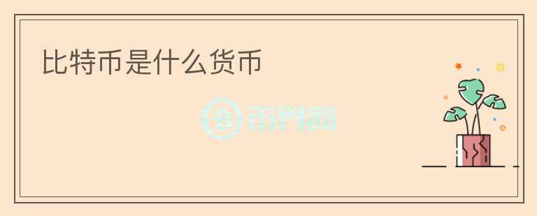 比特幣是什么貨幣