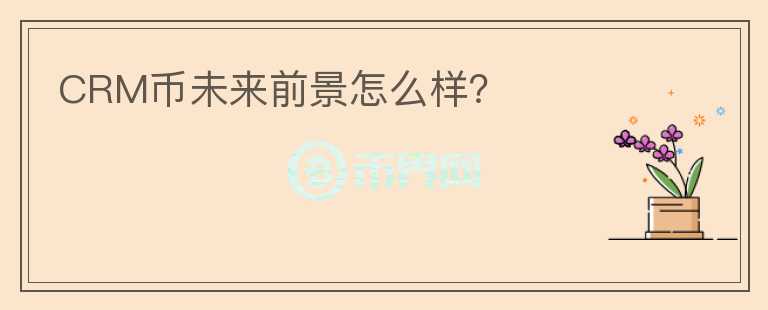 CRM幣未來前景怎么樣？