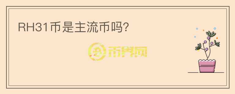 RH31幣是主流幣嗎？