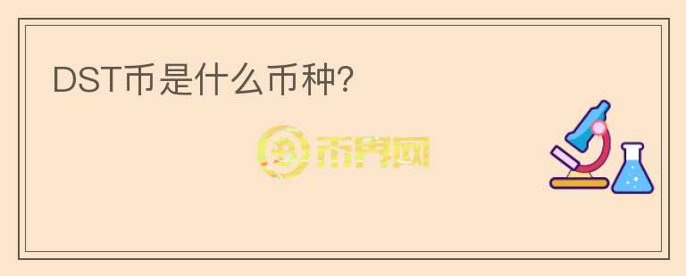 DST幣是什么幣種？