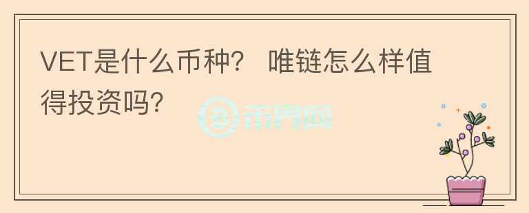 VET是什么幣種？ 唯鏈怎么樣值得投資嗎？