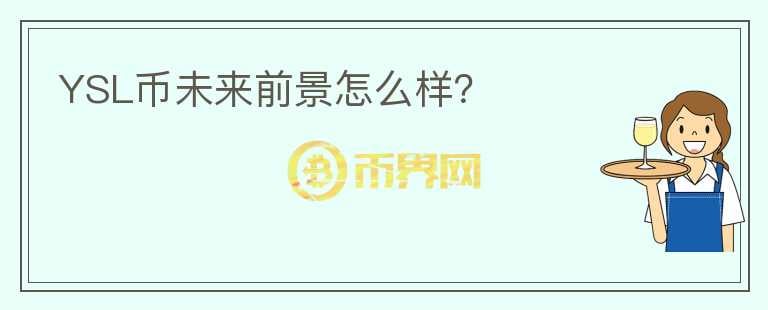YSL幣未來前景怎么樣？