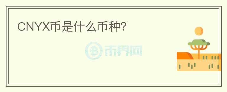 CNYX幣是什么幣種？
