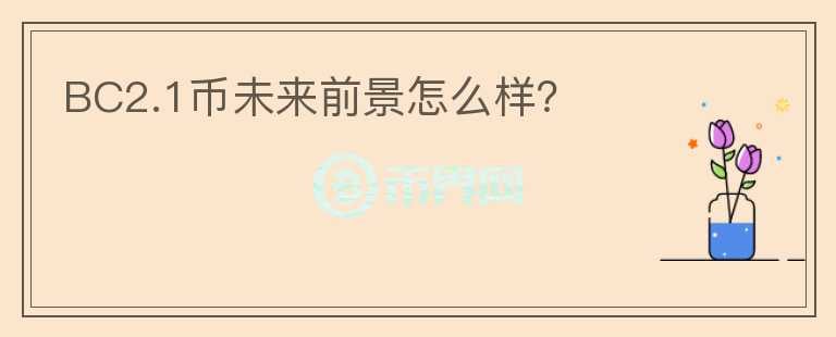 BC2.1幣未來前景怎么樣？