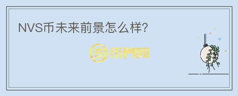 NVS幣未來前景怎么樣？