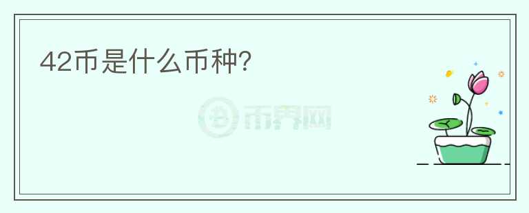 42幣是什么幣種？