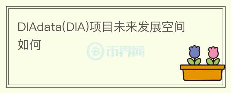 DIAdata(DIA)項(xiàng)目未來發(fā)展空間如何