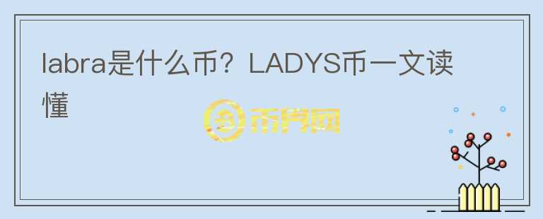 labra是什么幣？LADYS幣一文讀懂