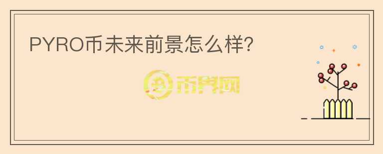 PYRO幣未來前景怎么樣？