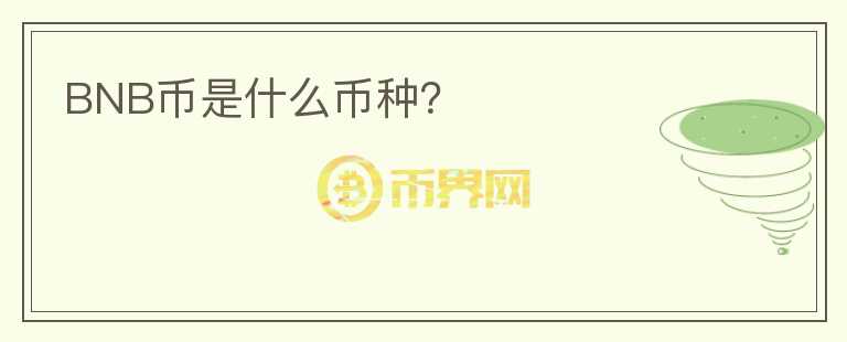BNB幣是什么幣種？
