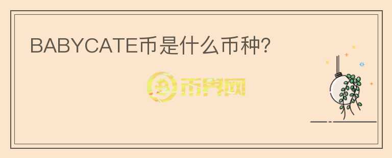 BABYCATE幣是什么幣種？