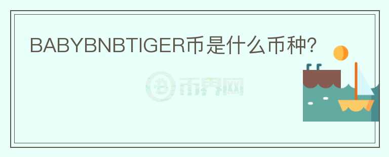 BABYBNBTIGER幣是什么幣種？