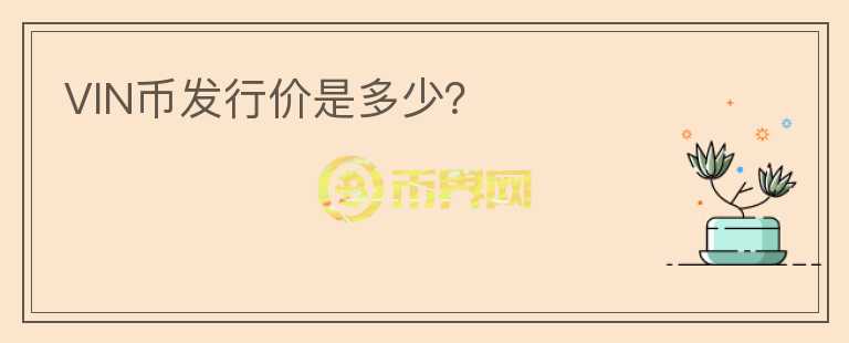 VIN幣發(fā)行價(jià)是多少？
