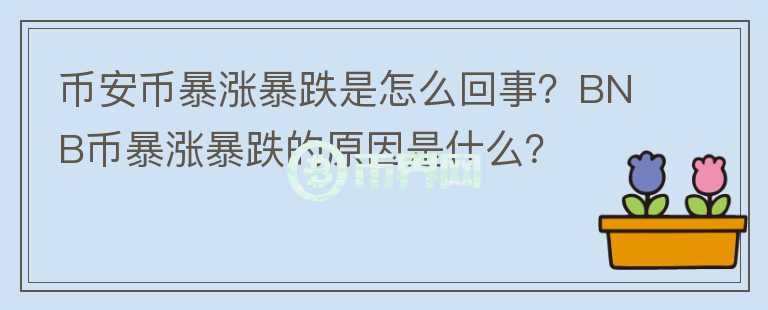幣安幣暴漲暴跌是怎么回事？BNB幣暴漲暴跌的原因是什么？