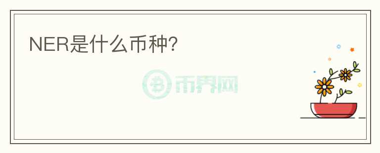NER是什么幣種？