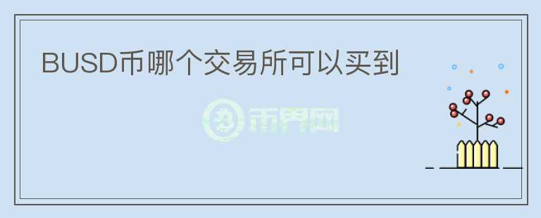 BUSD幣哪個交易所可以買到
