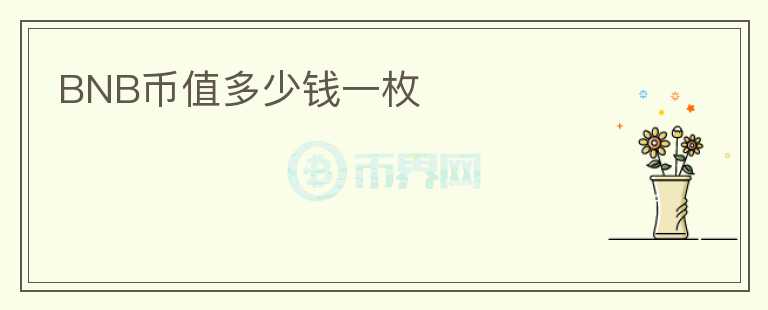 BNB幣值多少錢(qián)一枚