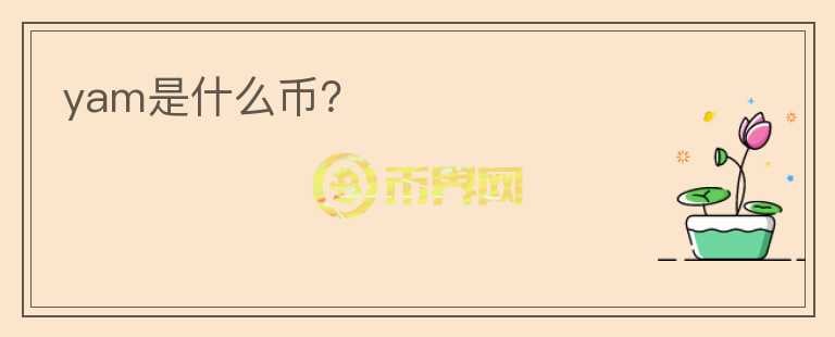 yam是什么幣？