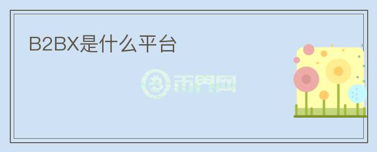 B2BX是什么平臺(tái)