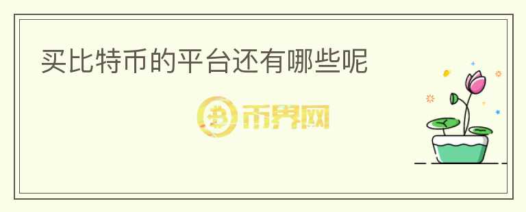 買比特幣的平臺(tái)還有哪些呢