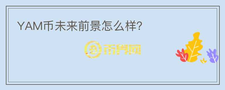 YAM幣未來前景怎么樣？