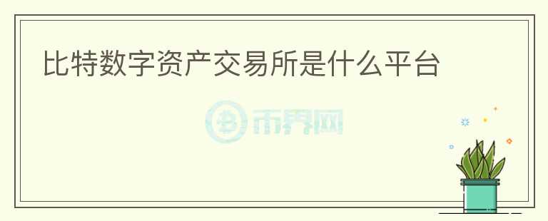 比特?cái)?shù)字資產(chǎn)交易所是什么平臺